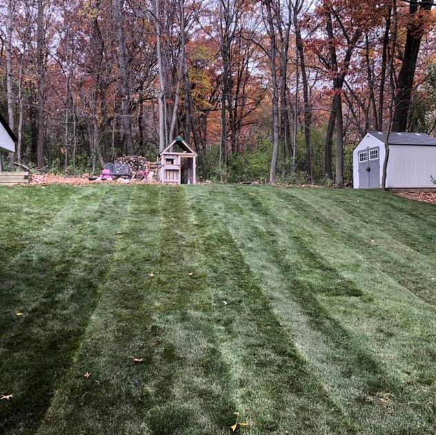 Sod & Hydroseeding